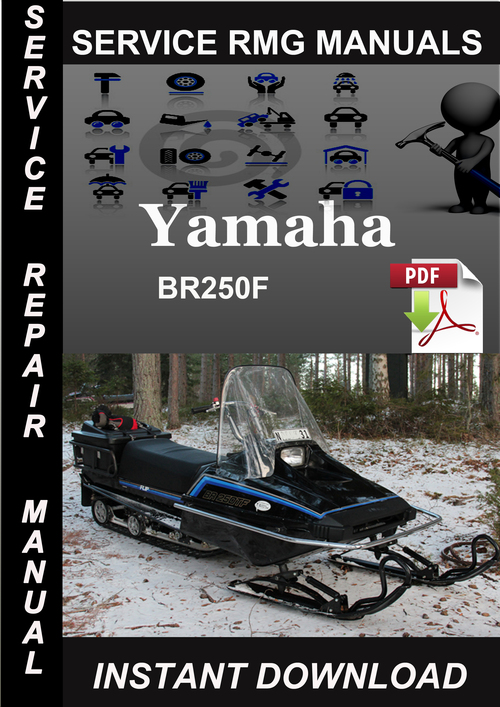 Product picture Yamaha BR250F Service Repair Manual Download